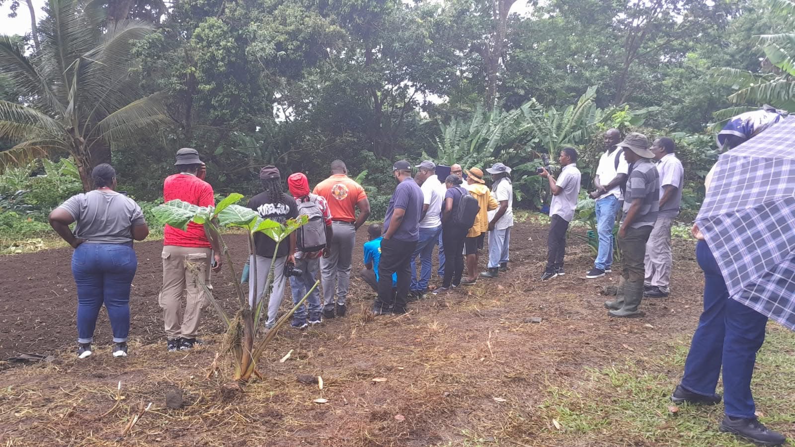 VI Explores White Potato Production with Regional Partners