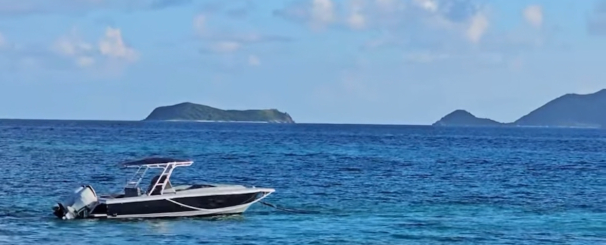 FOUR HELD FOR QUESTIONING IN BRAZEN PIER PARK ROBBERY