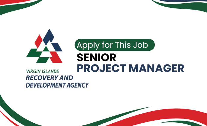 Senior Project Manager