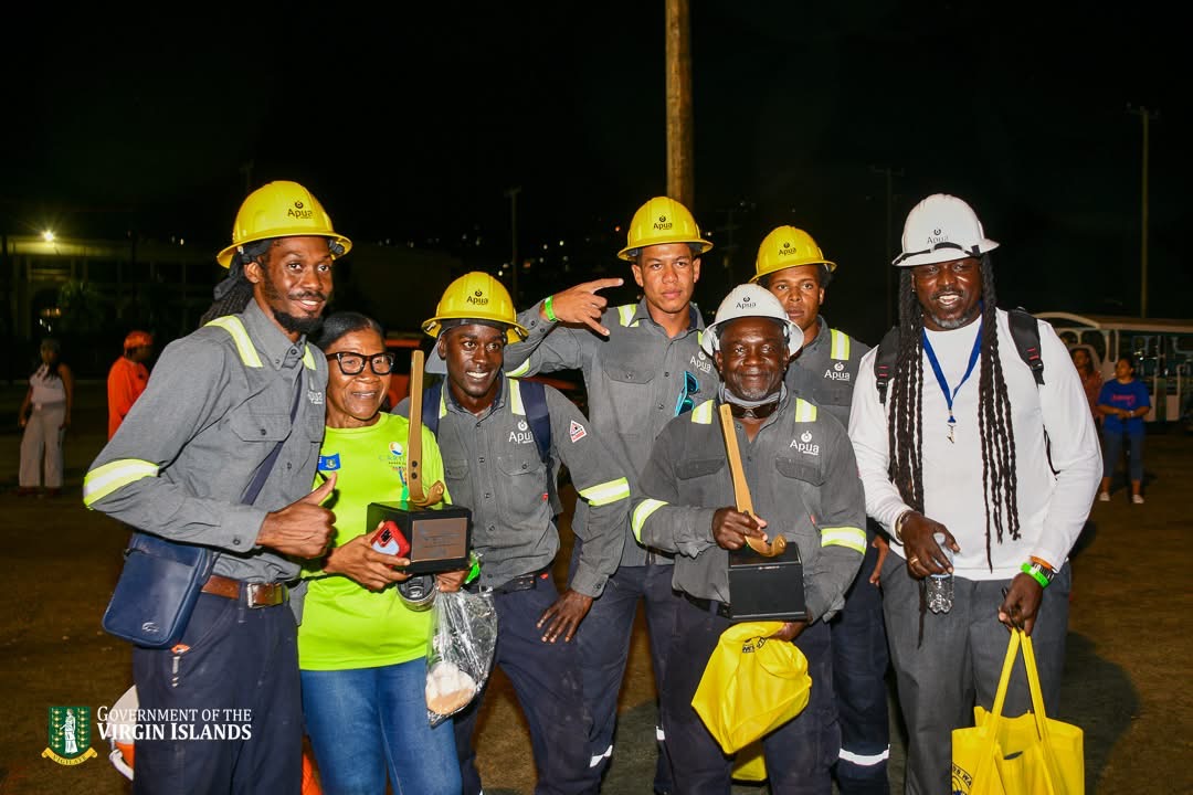 VI Government To Transform Electric Power Infrastructure