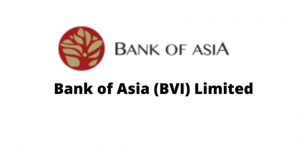 Bank of Asia – Losses to the Government Much Bigger than $5 Million? Averting Potential Disaster for the Territory