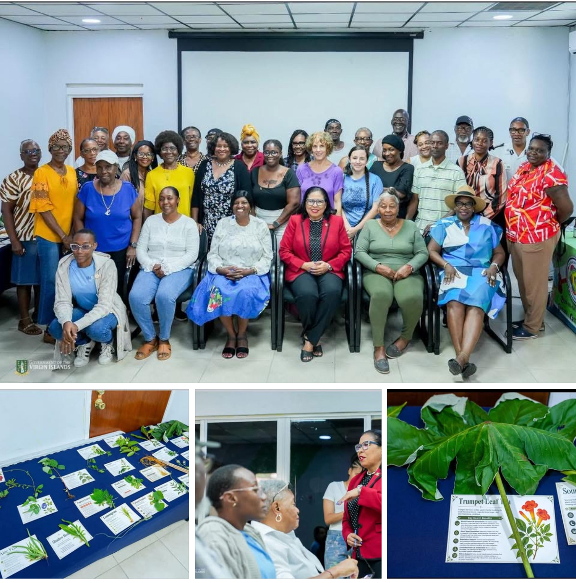 40 Residents Explore Traditional Medicinal Plants at Department of Culture Workshop
