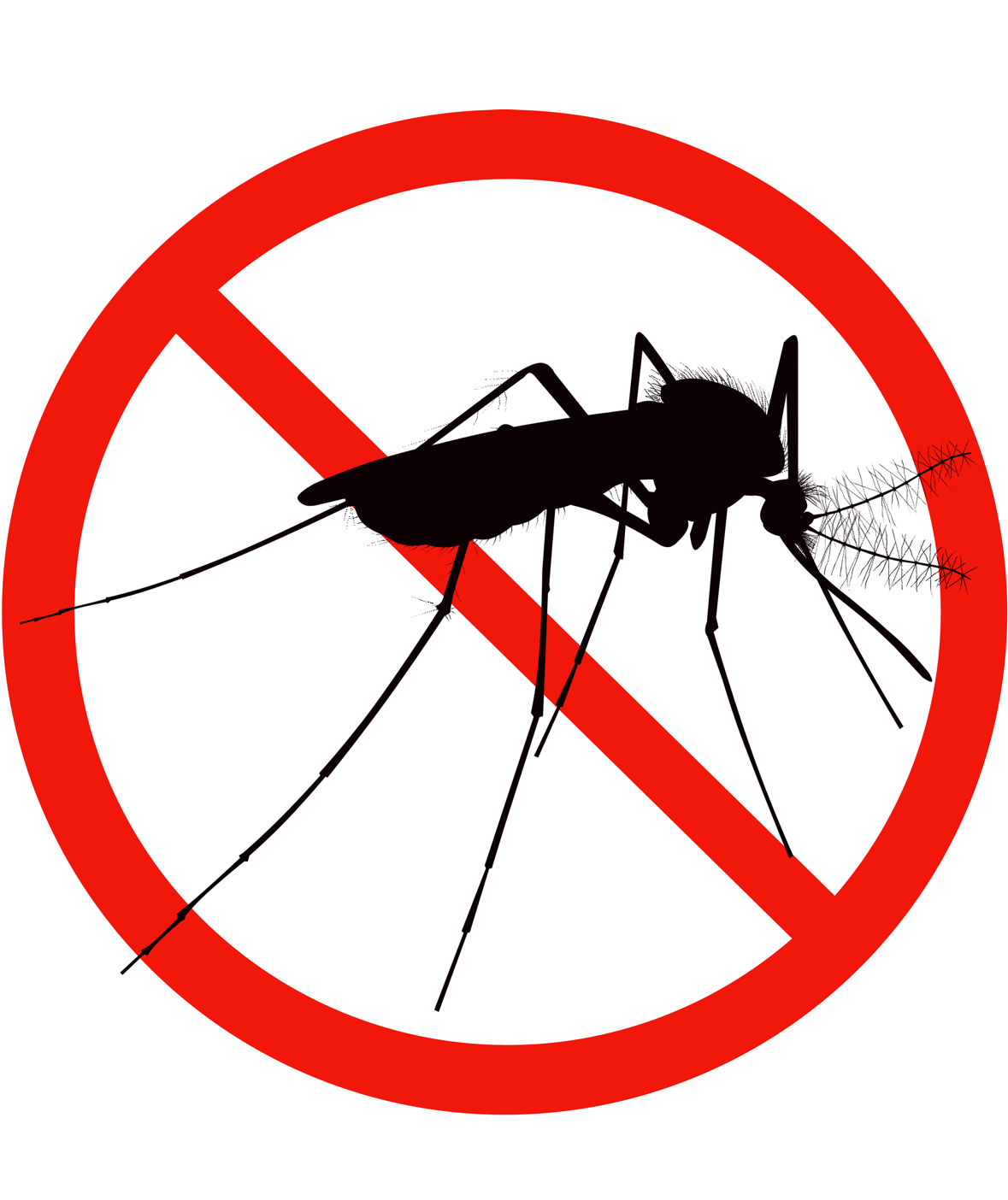 Mosquito Awareness Week to Focus on Source Reduction /Youth Engagement