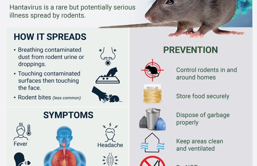 Ministry of Health Monitoring Hantavirus Situation Risk to BVI Remains Low