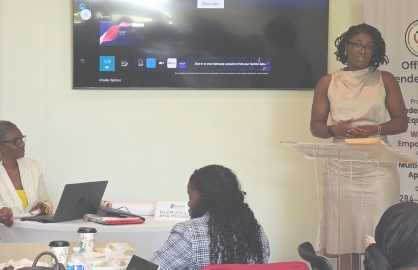 Stakeholders Consulted on Amendments to Domestic Violence Act