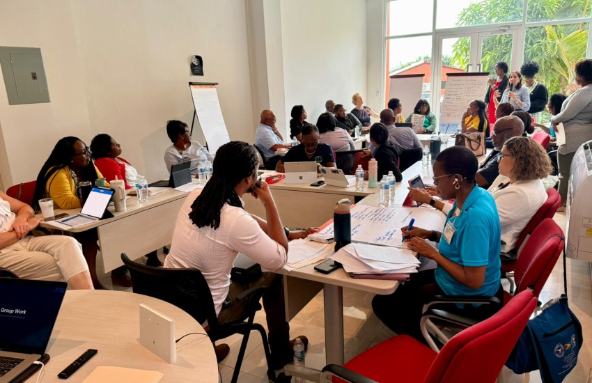 Government Agencies Strengthen Public Health Preparedness/ Border Response