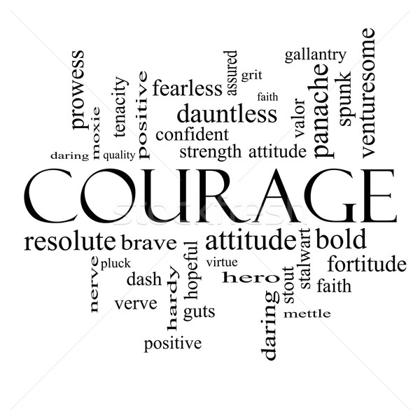 The Courage of Citizenship