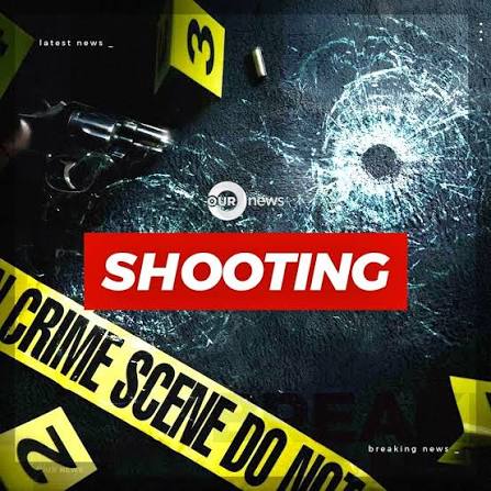 Police Investigate Shooting in Meyers